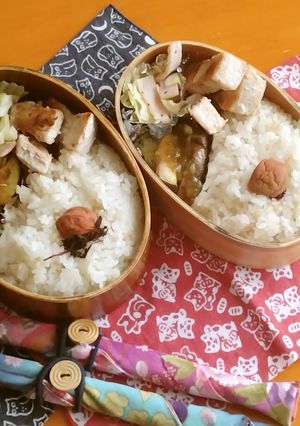 お弁当2023年9月20日-レシピのメイン写真
