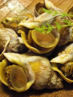 つぶ貝の煮物-レシピのメイン写真