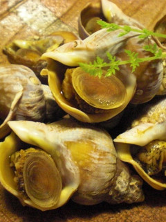 つぶ貝の煮物-レシピのメイン写真