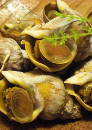 つぶ貝の煮物-レシピのメイン写真