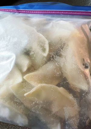 極力無塩 ビーガン餃子-レシピのメイン写真