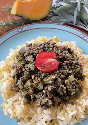 スピルリナ入キーマカレーとかぼちゃピラフ-レシピのメイン写真
