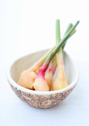 辛味と食感が美味しい【葉生姜の甘酢漬け】-レシピのメイン写真