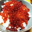 イクラの醤油漬け