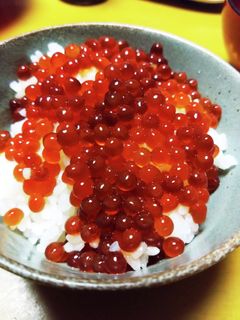 イクラの醤油漬け-レシピのメイン写真