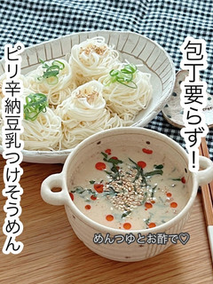 ピリ辛納豆乳つけそうめん-レシピのメイン写真