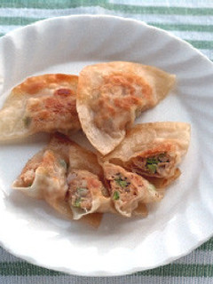 ピザ風味のイタリアン餃子-レシピのメイン写真