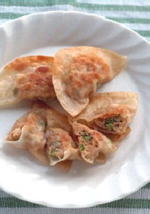 ピザ風味のイタリアン餃子-レシピのメイン写真