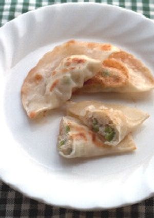 パルメザン風味のイタリアン餃子-レシピのメイン写真