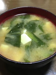 小松菜と豆腐の味噌汁-レシピのメイン写真