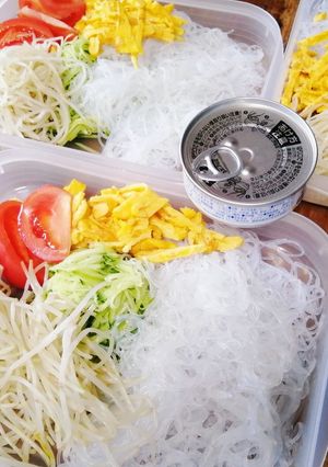 タッパーで食べる夕ご飯弁当！春雨サラダ-レシピのメイン写真