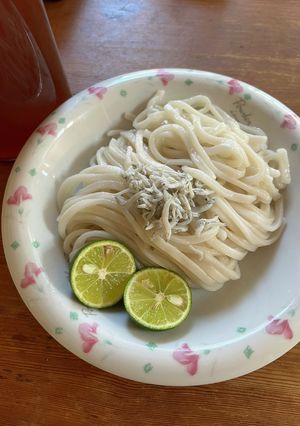 すだちとシラスうどん-レシピのメイン写真