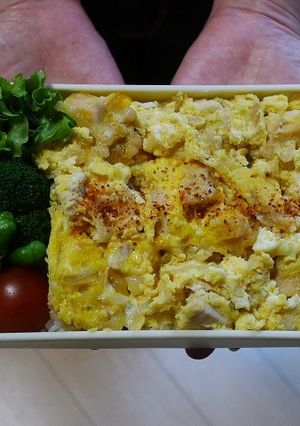 電子レンジで簡単★鶏胸肉de親子丼弁当-レシピのメイン写真