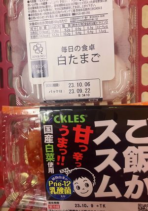 オガタ家　節約丼　その2-レシピのメイン写真