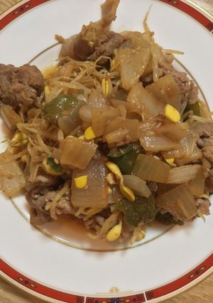豚コマ肉ともやしの甜麺醤中華炒め-レシピのメイン写真