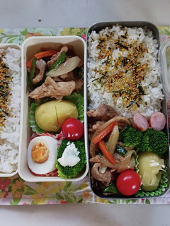 野菜炒め弁当(9.25)-レシピのメイン写真