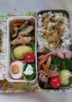 野菜炒め弁当(9.25)-レシピのメイン写真