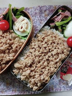 そぼろ弁当(8.9)-レシピのメイン写真
