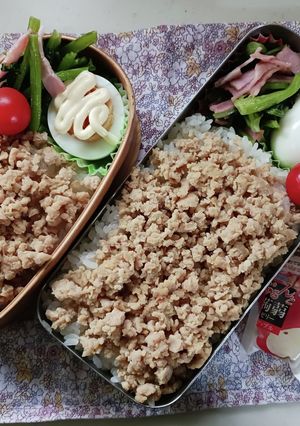 そぼろ弁当(8.9)-レシピのメイン写真