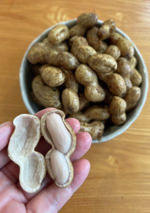 殻付き落花生を塩茹でしたよ-レシピのメイン写真