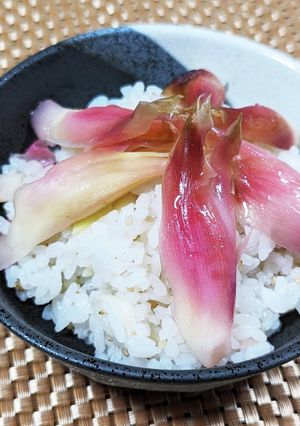 シャキシャキ食感！秋みょうがのちらし寿司-レシピのメイン写真