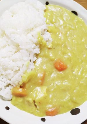 簡単!残りシチューをカレーに変身☆-レシピのメイン写真