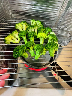 ブロッコリー⭐︎農家の茹で方、蒸し方-レシピのメイン写真