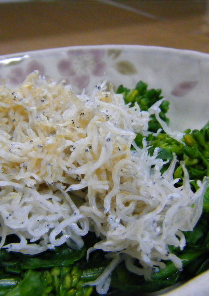 ずぼら！菜の花としらす-レシピのメイン写真
