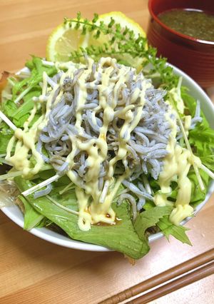 シーサイドカフェ風　しらす丼-レシピのメイン写真
