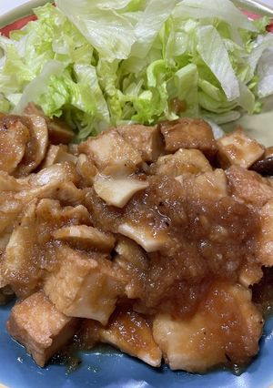 鶏胸肉と厚揚げのみぞれ煮-レシピのメイン写真