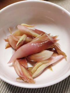簡単!みょうがの甘酢漬け-レシピのメイン写真