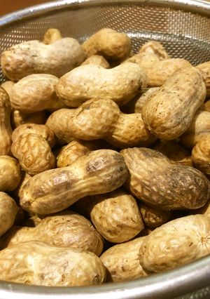 おおまさり（生落花生）の塩茹で方法♪-レシピのメイン写真