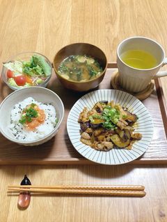 ナスと豚肉炒め-レシピのメイン写真