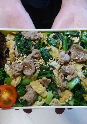 レンジで★小松菜と豚肉と油揚げの丼弁当-レシピのメイン写真