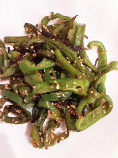 ピーマンの塩昆布炒め-レシピのメイン写真