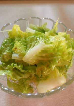レタスの浅漬け-レシピのメイン写真