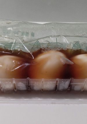 味玉の漬け方　卵パック利用-レシピのメイン写真
