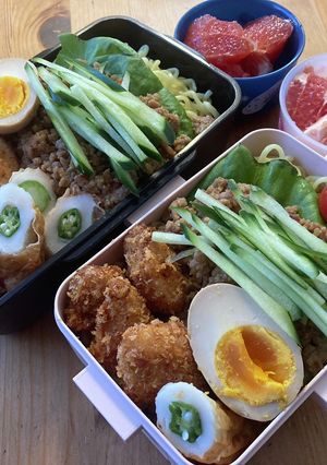 高校生男子弁当372 女子弁当71-レシピのメイン写真