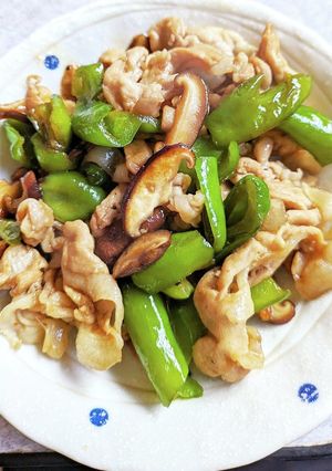 豚肉とピーマンのくたくた煮-レシピのメイン写真
