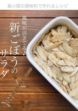 風味が活きてる♪新ごぼうのサラダ-レシピのメイン写真