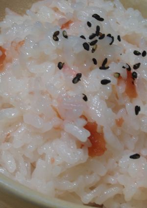 春色の梅ごはん-レシピのメイン写真