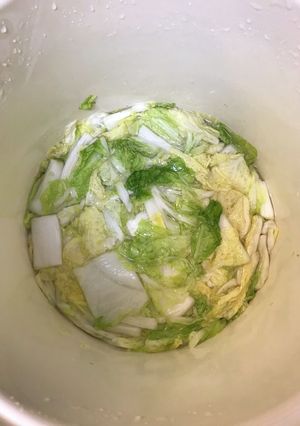 白菜漬け-レシピのメイン写真