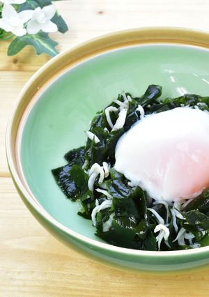 わかめとしらすの温玉のせ-レシピのメイン写真