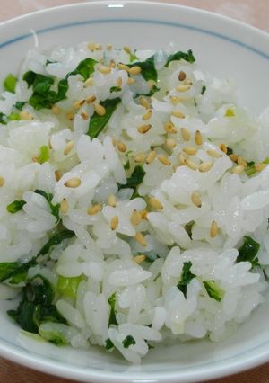菜めし-レシピのメイン写真