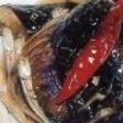 なすと煮干の炒り煮