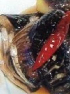 なすと煮干の炒り煮-レシピのメイン写真