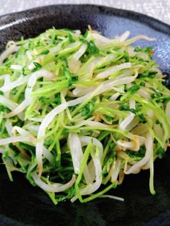 もやしと豆苗の和え物-レシピのメイン写真