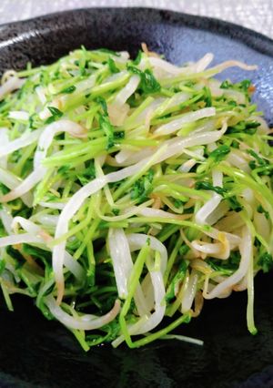 もやしと豆苗の和え物-レシピのメイン写真