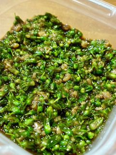 ご飯がススム! 紫蘇の実の醤油麹漬け-レシピのメイン写真