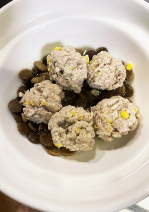 【犬用】野菜たっぷり肉団子-レシピのメイン写真